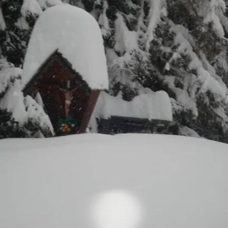 Apartament Leitingerhof *