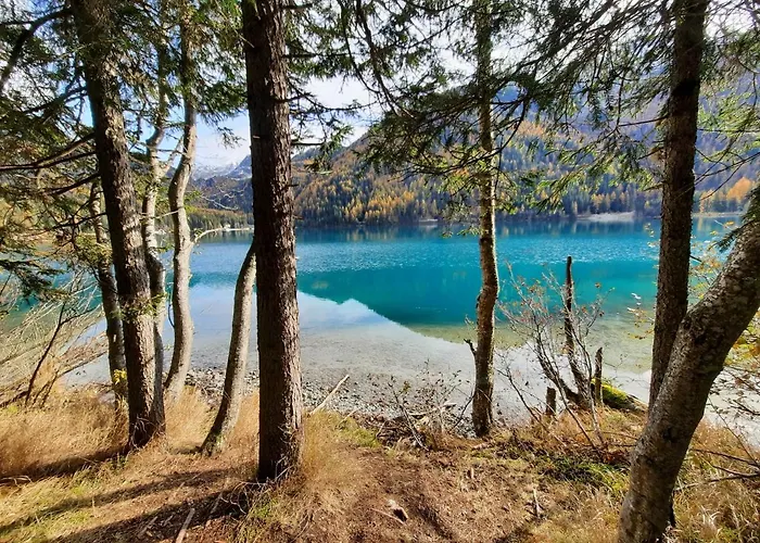 Leitingerhof فيرجن