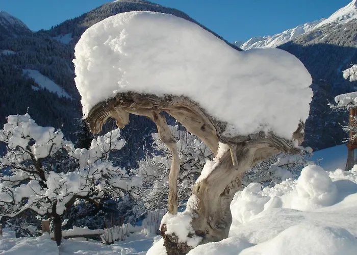 Apartmán Leitingerhof *