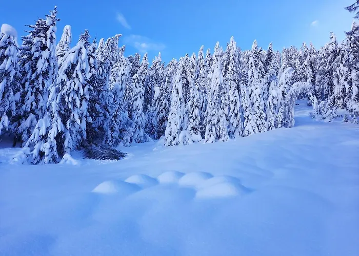 アパート Leitingerhof *